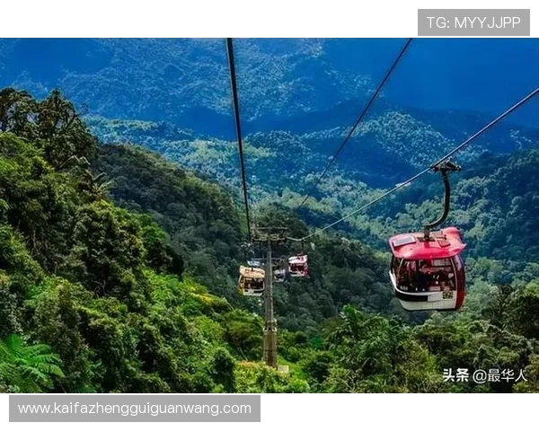 全面解析马来云顶赌场的安全性与合法性保障玩家权益的实用指南